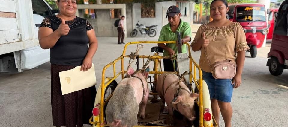 Impulsan la autosuficiencia alimentaria en Centro con entrega de apoyos del Programa Crédito Porcino a la Palabra