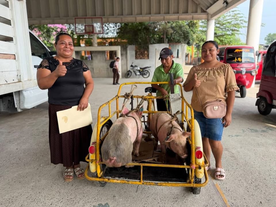 Impulsan la autosuficiencia alimentaria en Centro con entrega de apoyos del Programa Crédito Porcino a la Palabra