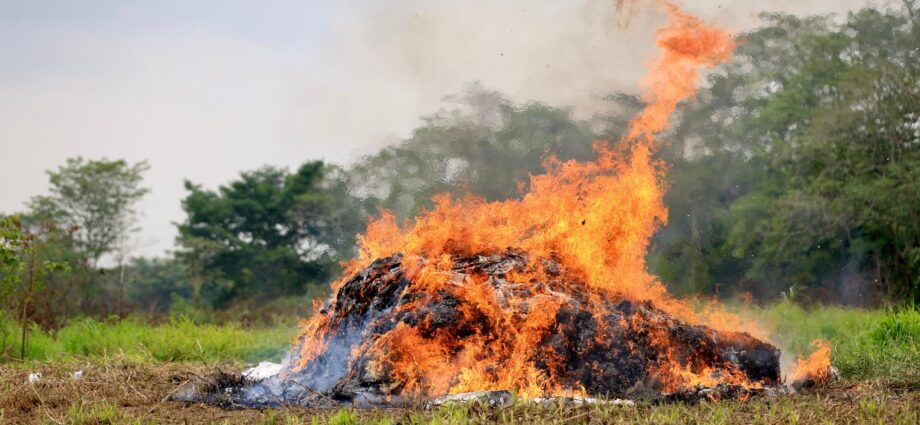 Incineran en Tabasco casi una tonelada de narcóticos asegurados en operativos de la FIRT Olmeca