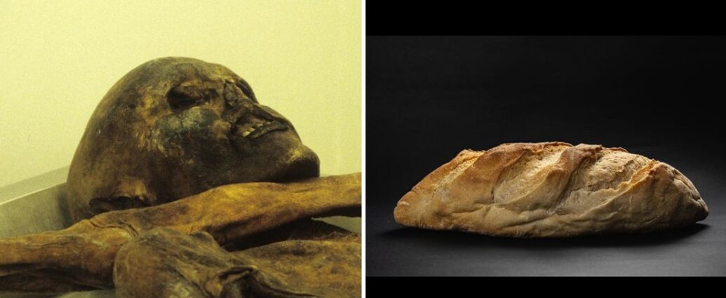 Levaduras de una momia de 5,300 años permiten hornear pan en innovador experimento científico