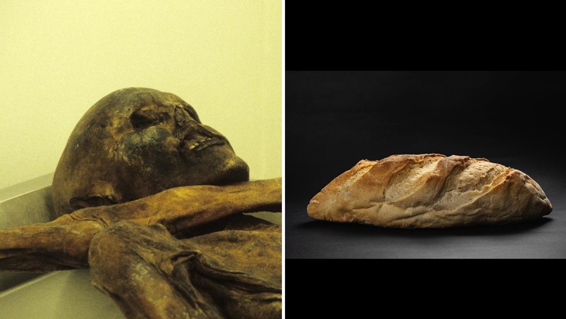 Levaduras de una momia de 5,300 años permiten hornear pan en innovador experimento científico