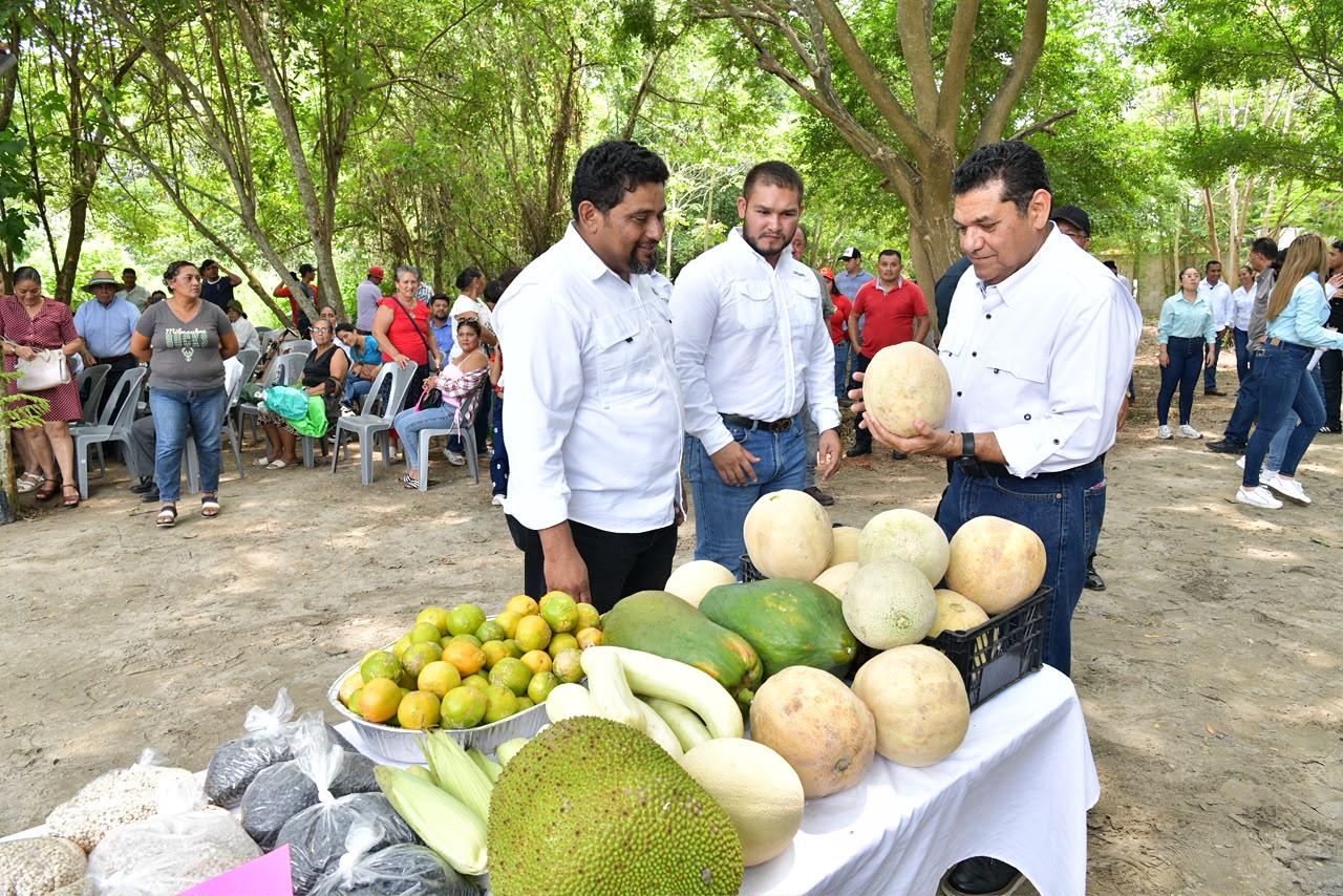 Sembrando Vida-Tabasco fortalece economía y tejido social de 20 mil familias; “el presupuesto alcanza porque ya nadie se roba el dinero: Javier May