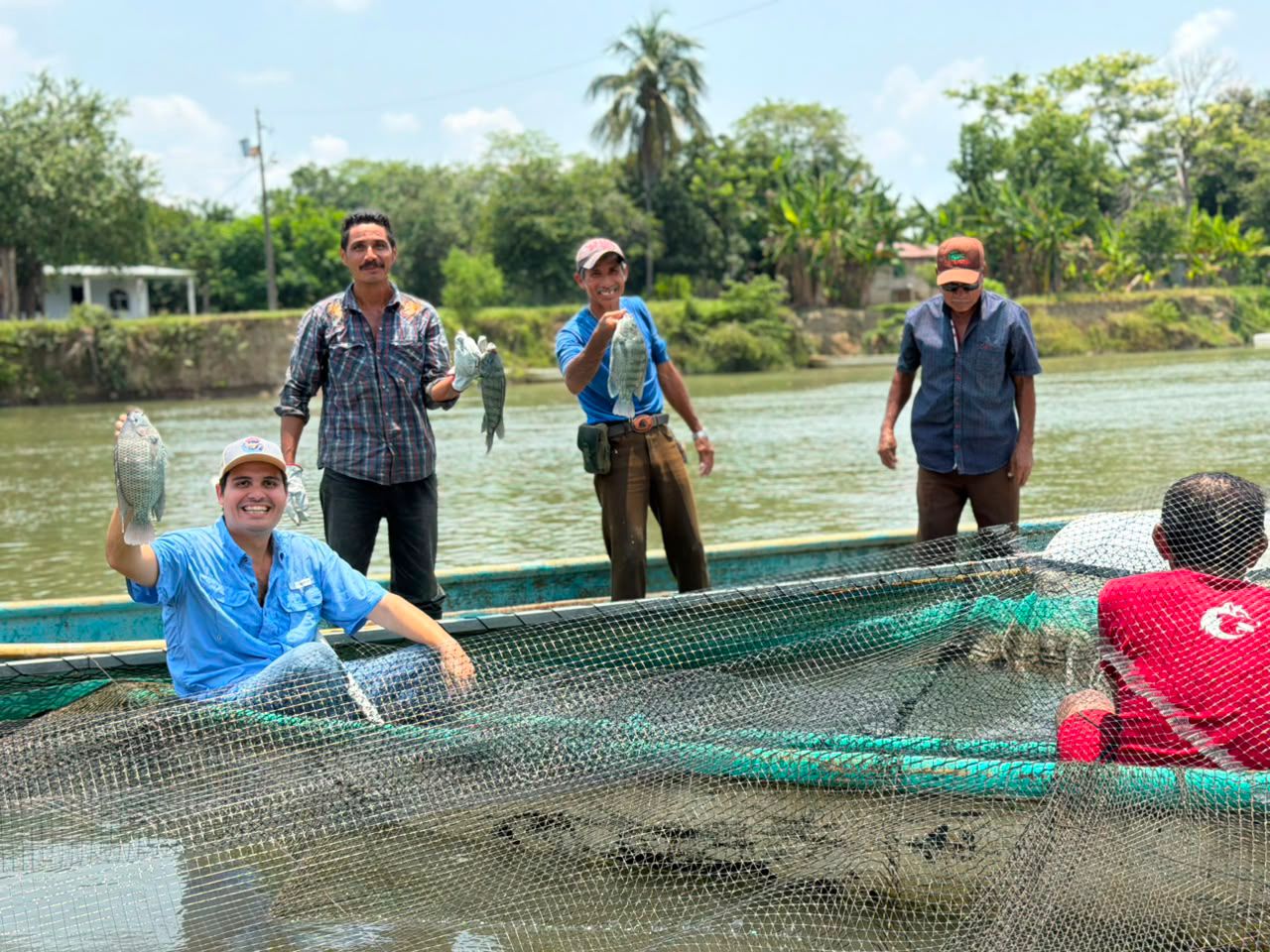 Pescadores de Tabasco fortalecen su economía con venta directa de tilapia y ostión en la Central de Abasto