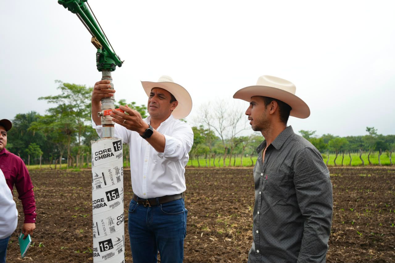 Tecnificación del campo permitirá hasta cuatro cosechas al año en Tabasco