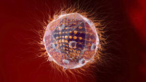 Descubren en Japón un nuevo virus gigante que podría aportar claves sobre la evolución de la vida