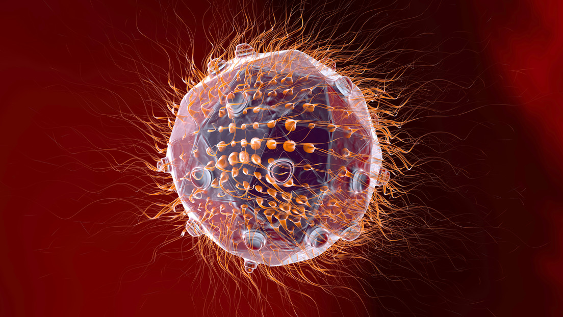 Descubren en Japón un nuevo virus gigante que podría aportar claves sobre la evolución de la vida