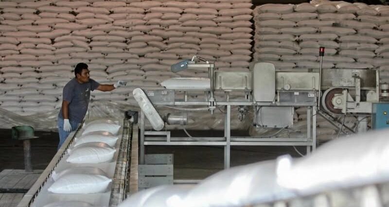 Sheinbaum celebra incremento de 512% en exportaciones de azúcar a Estados Unidos