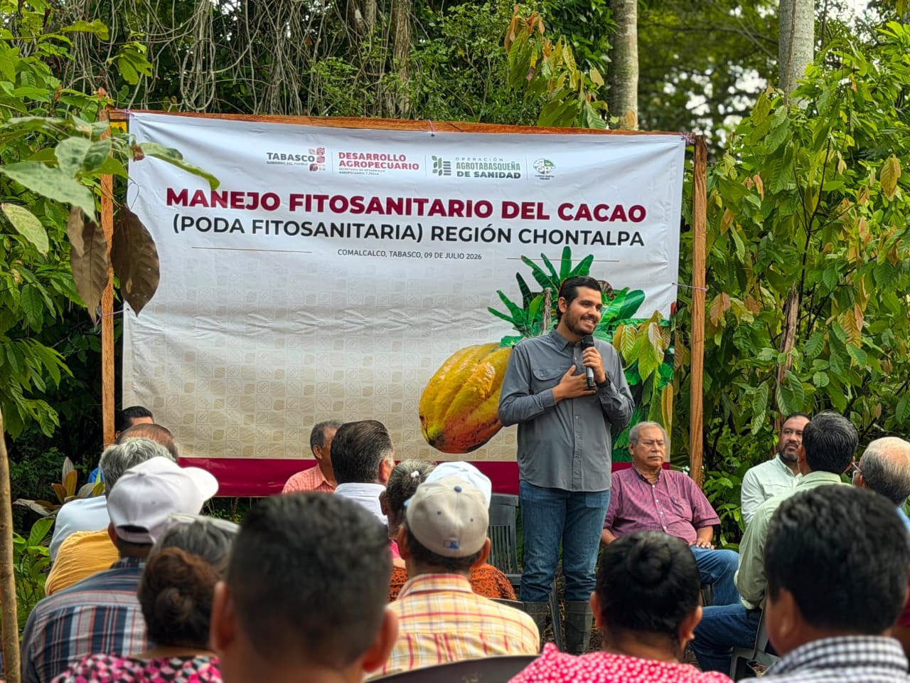 Gobierno de Tabasco impulsa sanidad del cacao con programa que atenderá 345 hectáreas en Comalcalco