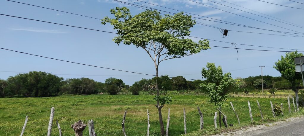 Calor extremo y chubascos marcarán el clima de este miércoles en Tabasco; Villahermosa podría alcanzar los 41 °C