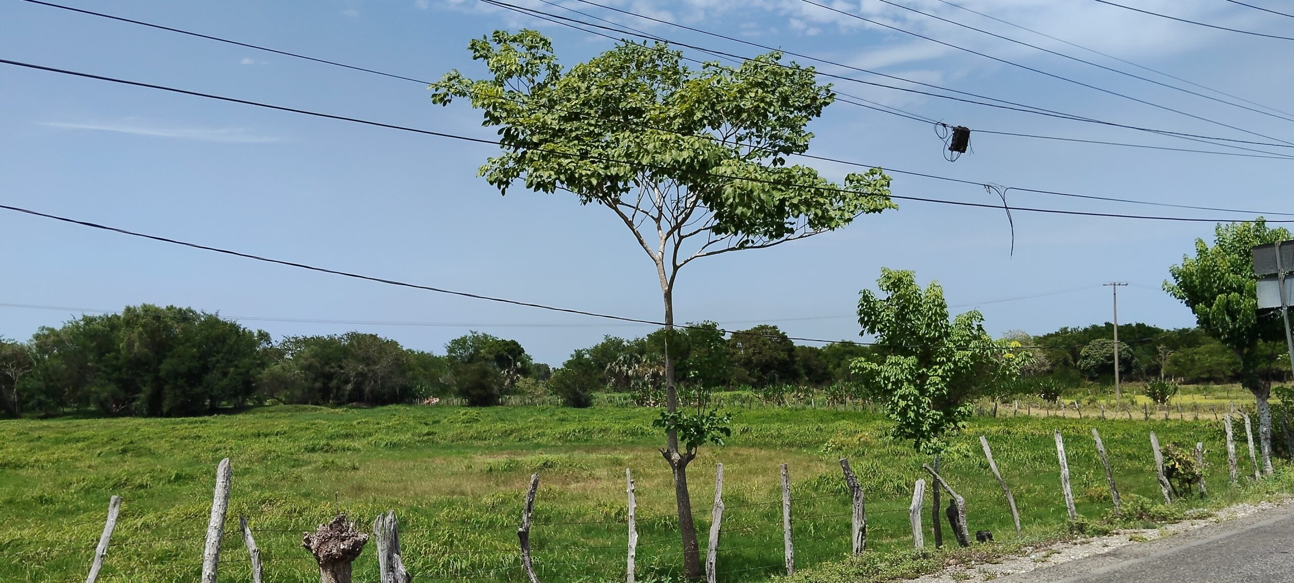 Calor extremo y chubascos marcarán el clima de este miércoles en Tabasco; Villahermosa podría alcanzar los 41 °C