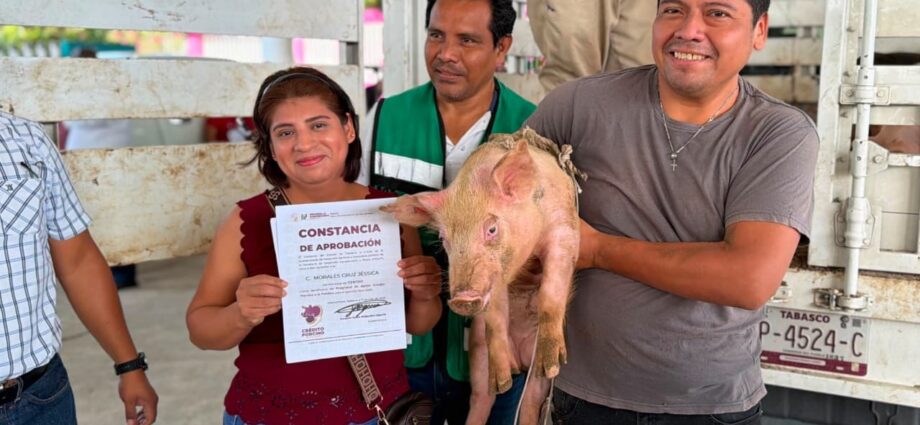 Mujeres chontales fortalecen su economía con programa de crédito porcino en Tabasco