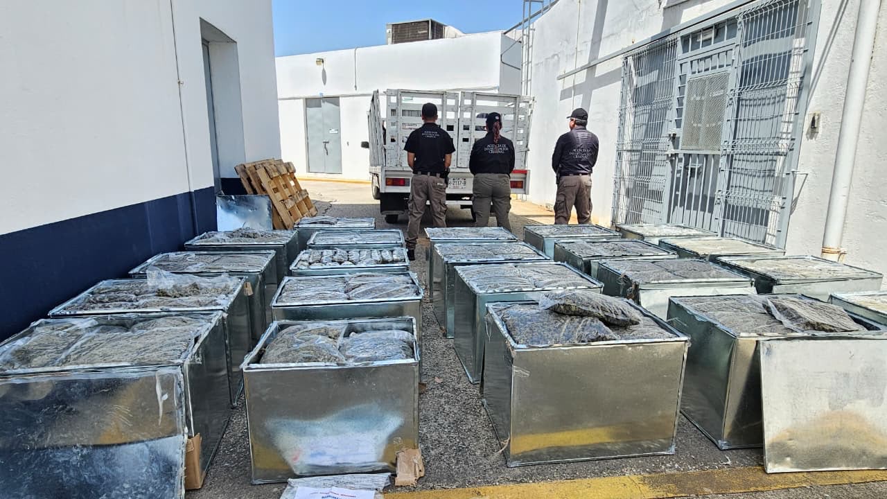 FIRT Olmeca asegura cerca de 600 kilos de marihuana ocultos en falsos aires acondicionados; hay&hellip;