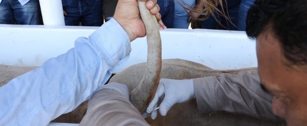 Javier May pone en marcha el Barrido Sanitario en Paraíso para fortalecer la sanidad ganadera en Tabasco