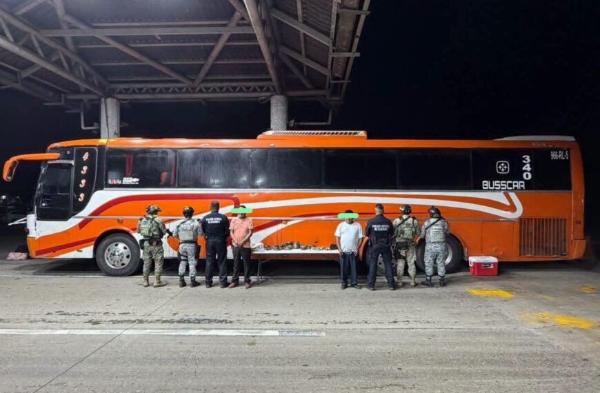 Rescatan 37 ejemplares de fauna protegida en operativo entre Tabasco y Veracruz; detienen a dos personas