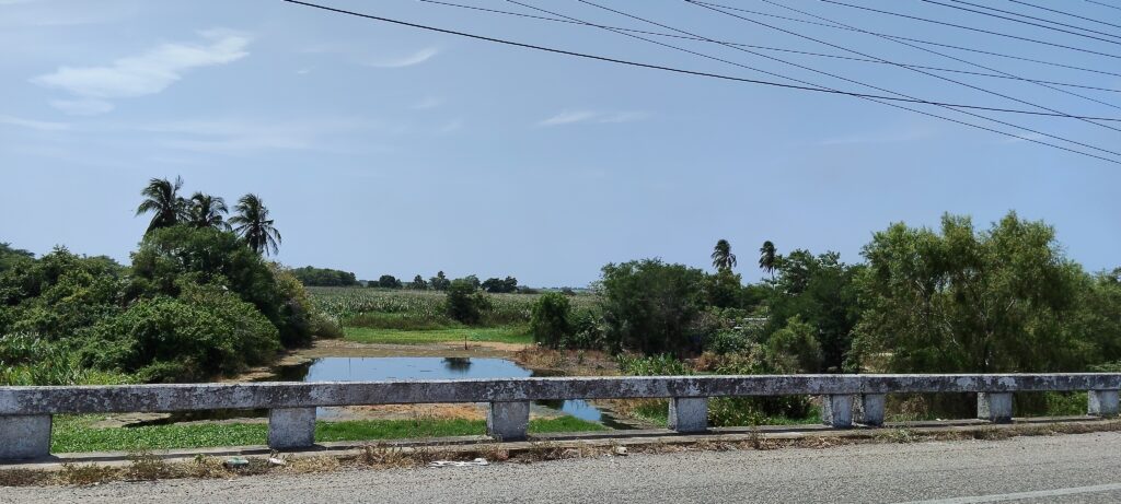 Persistirá ambiente caluroso en Villahermosa; prevén sensación térmica superior a 40 grados y lluvias aisladas