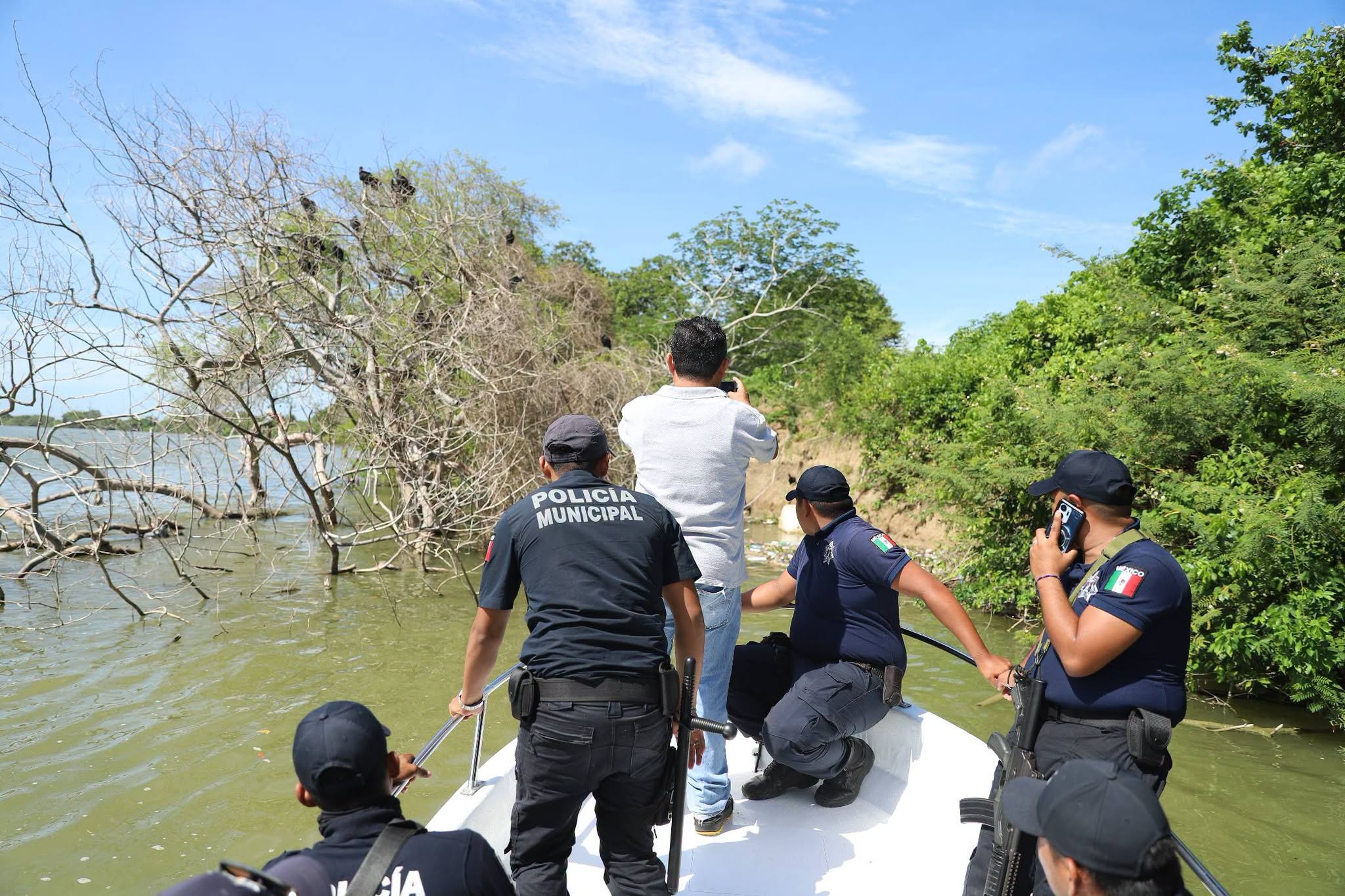 Hallan manatí sin vida en el río Usumacinta; autoridades investigan las causas del deceso