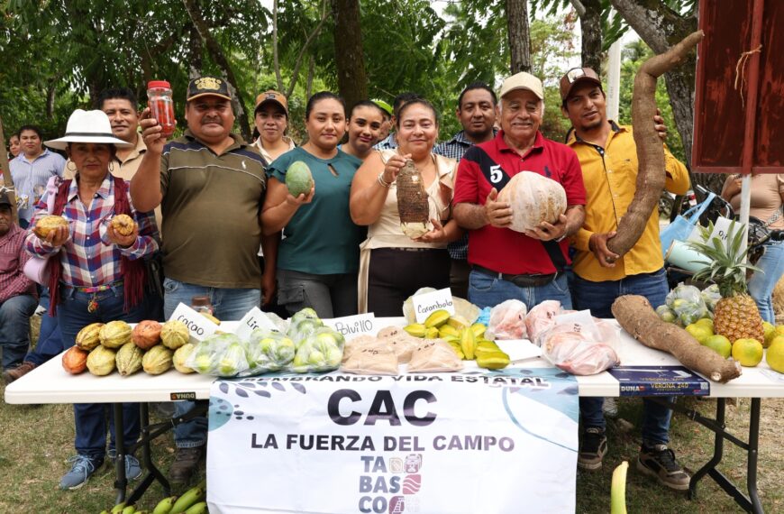 Sembrando Vida fortalece el trabajo comunitario y genera 20 mil empleos en Tabasco: Javier May
