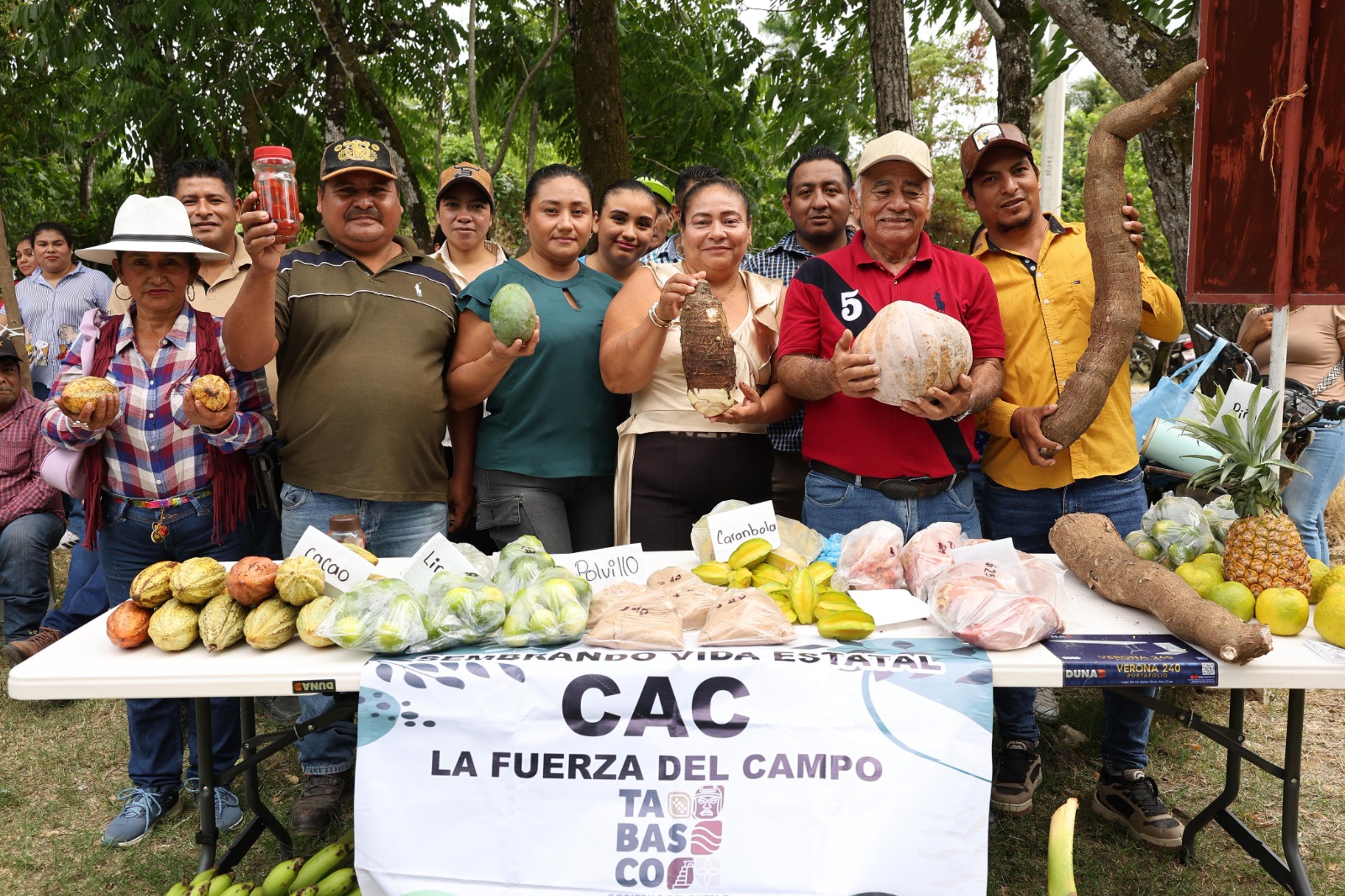 Sembrando Vida fortalece el trabajo comunitario y genera 20 mil empleos en Tabasco: Javier May