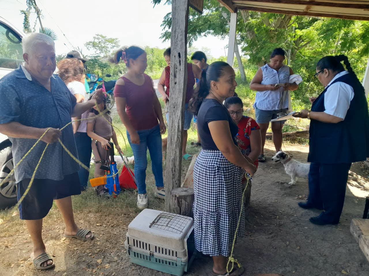 Secretaría de Salud esteriliza 173 perros y gatos en Jonuta durante jornada de bienestar animal