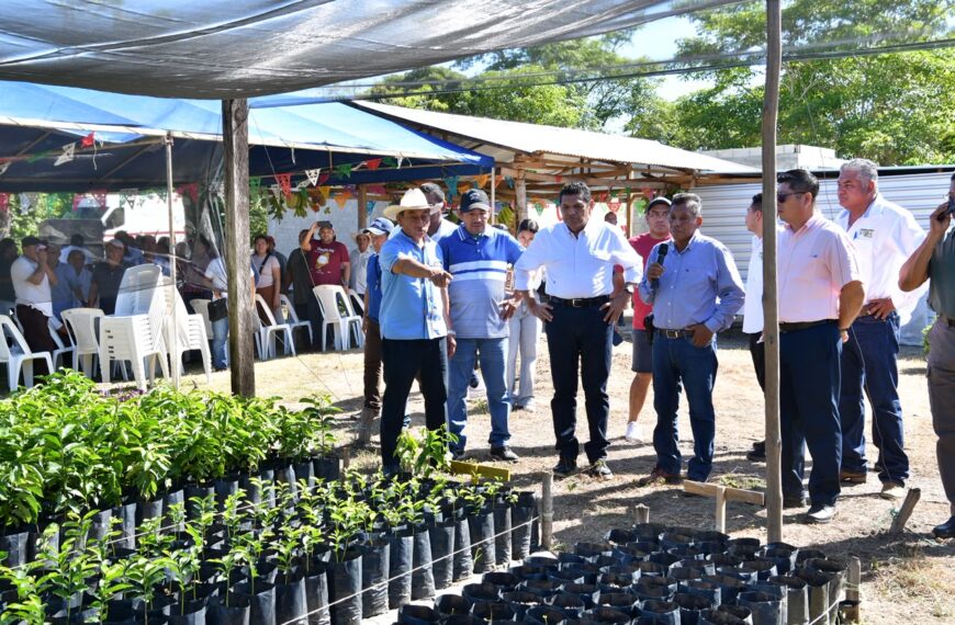 Gobierno del Pueblo reafirma continuidad de programas sociales y fortalece Sembrando Vida en Nacajuca