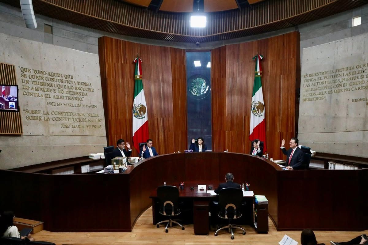 TEPJF confirma multa contra asociación “México tiene vida” por simular afiliaciones para obtener registro como partido