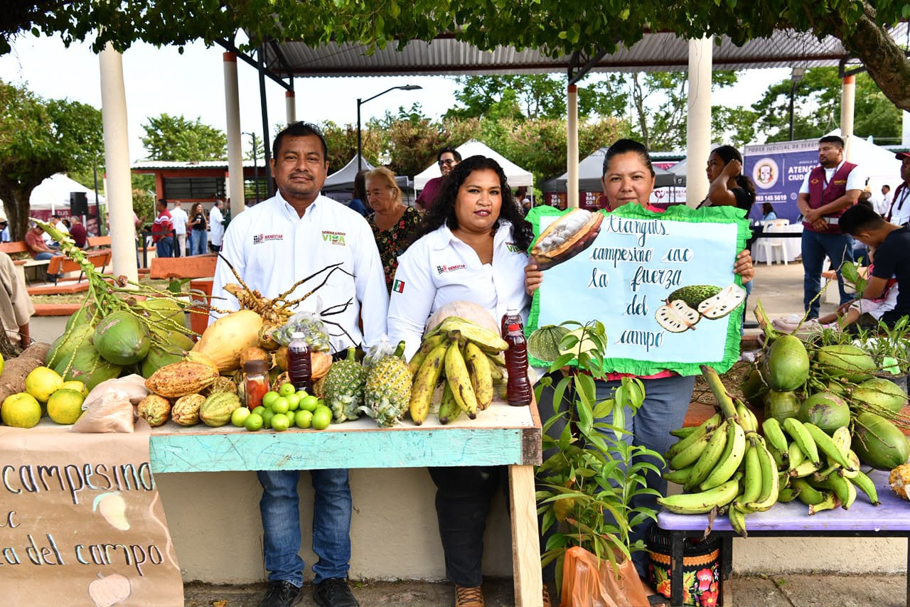 Sembrando Vida Tabasco transforma el trabajo de mujeres productoras en Macuspana