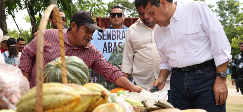 Sembrando Vida es el programa que más empleo genera en Tabasco…