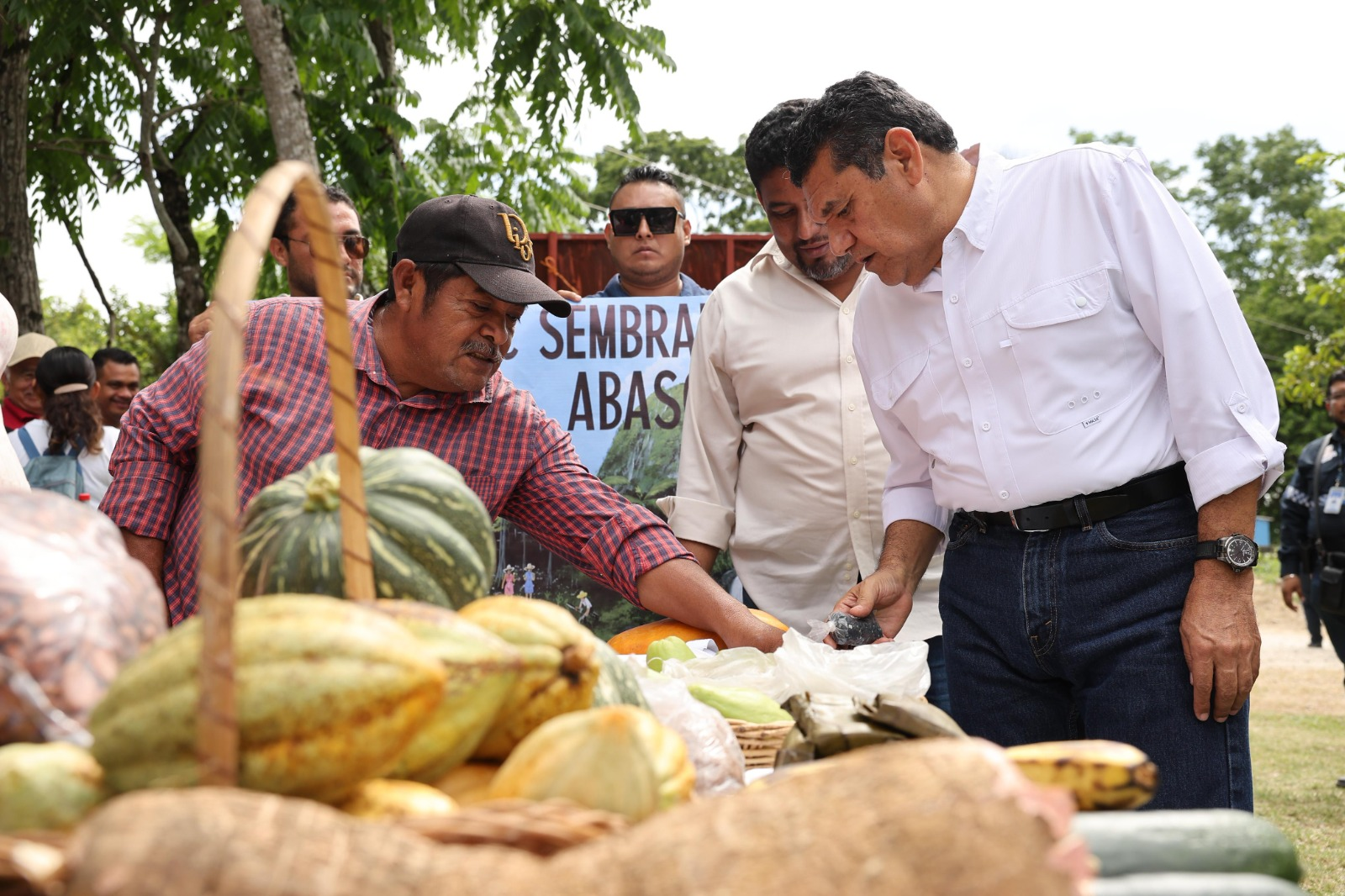 Sembrando Vida es el programa que más empleo genera en Tabasco…
