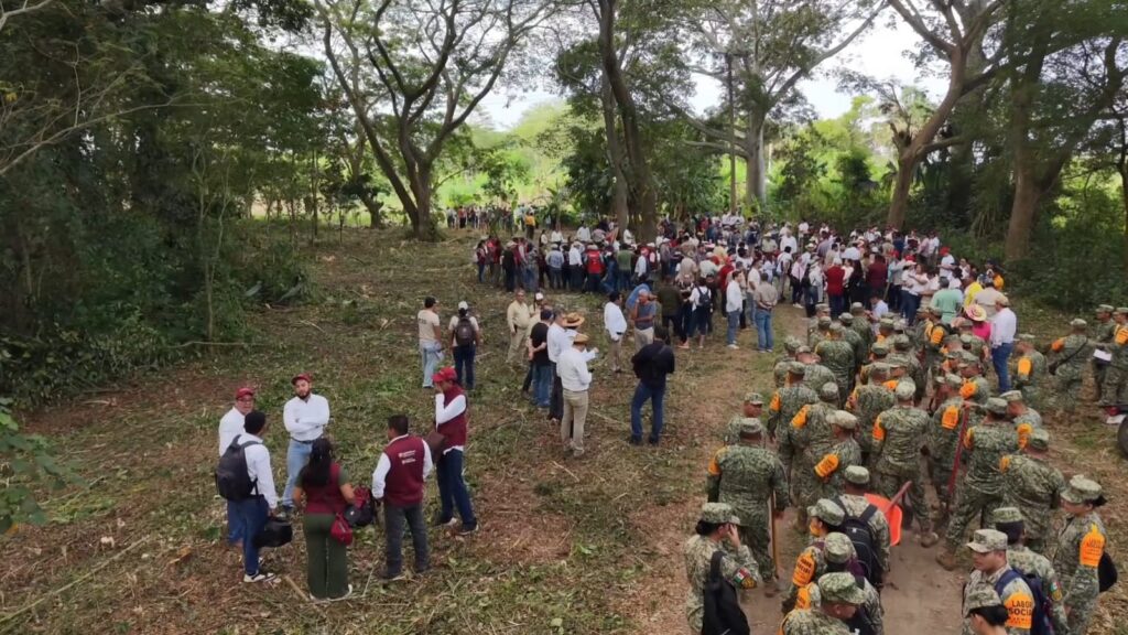 Çrónica: Plantan más de tres mil árboles maderables en el Área Natural Protegida Laguna del Camarón…