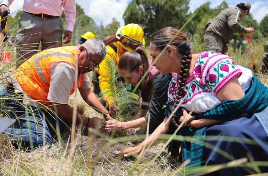 Sheinbaum encabeza Jornada Nacional de Reforestación; propone llamar “Paso de los Pueblos Indígenas” al Paso de Cortés…