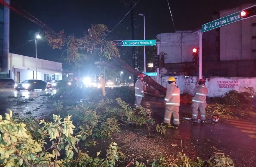 Retiran árbol caído en cruce de Pagés Llergo y Gregorio Méndez