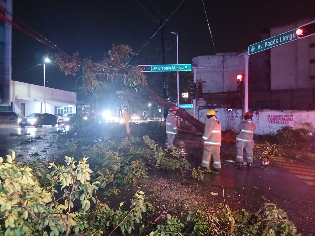 Retiran árbol caído en cruce de Pagés Llergo y Gregorio Méndez