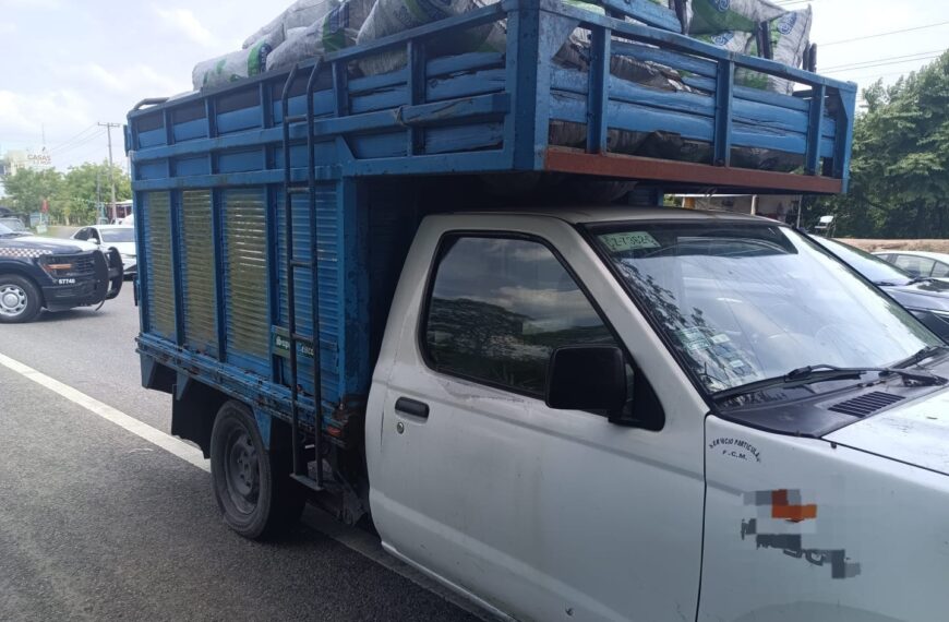 FGR investiga aseguramiento de 90 bultos de carbón vegetal en Centro