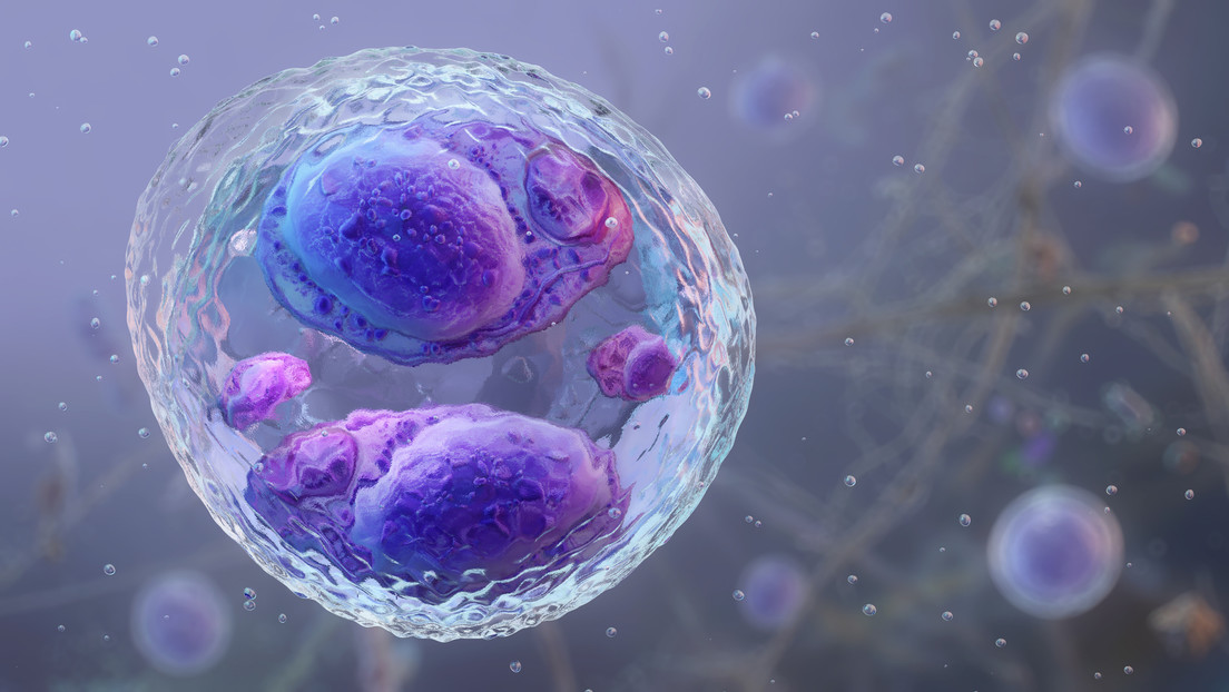 Brote de ciclosporiasis deja las primeras dos muertes en Estados Unidos
