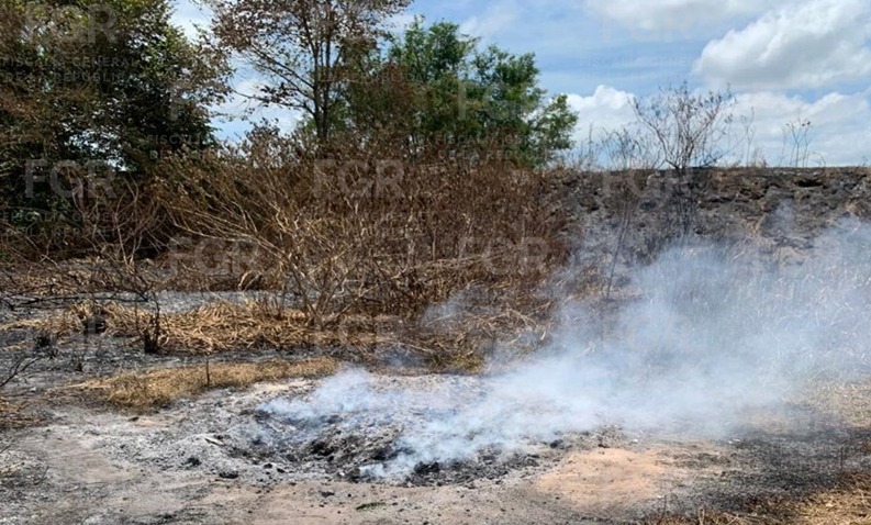 FGR destruye más de 287 kilos de narcóticos y obtiene condena por portación de arma en Tabasco