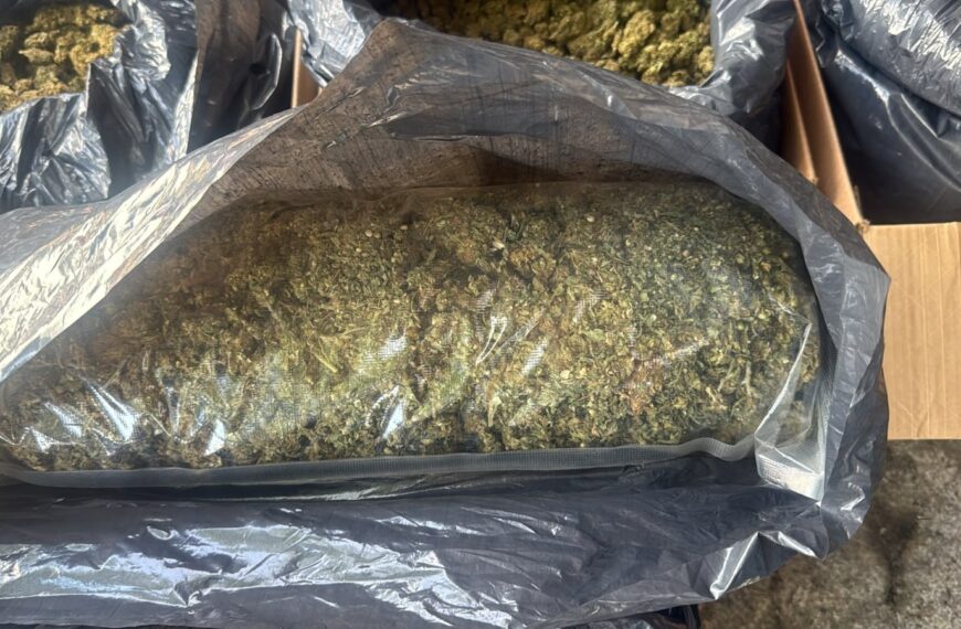 FGR procesa dos casos en Tabasco: aseguran 300 kilos de marihuana y condenan a tres años de prisión a hombre armado