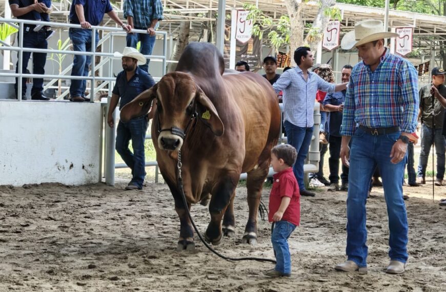 Concluye con éxito la Muestra Mexicana del Cebú en Tabasco