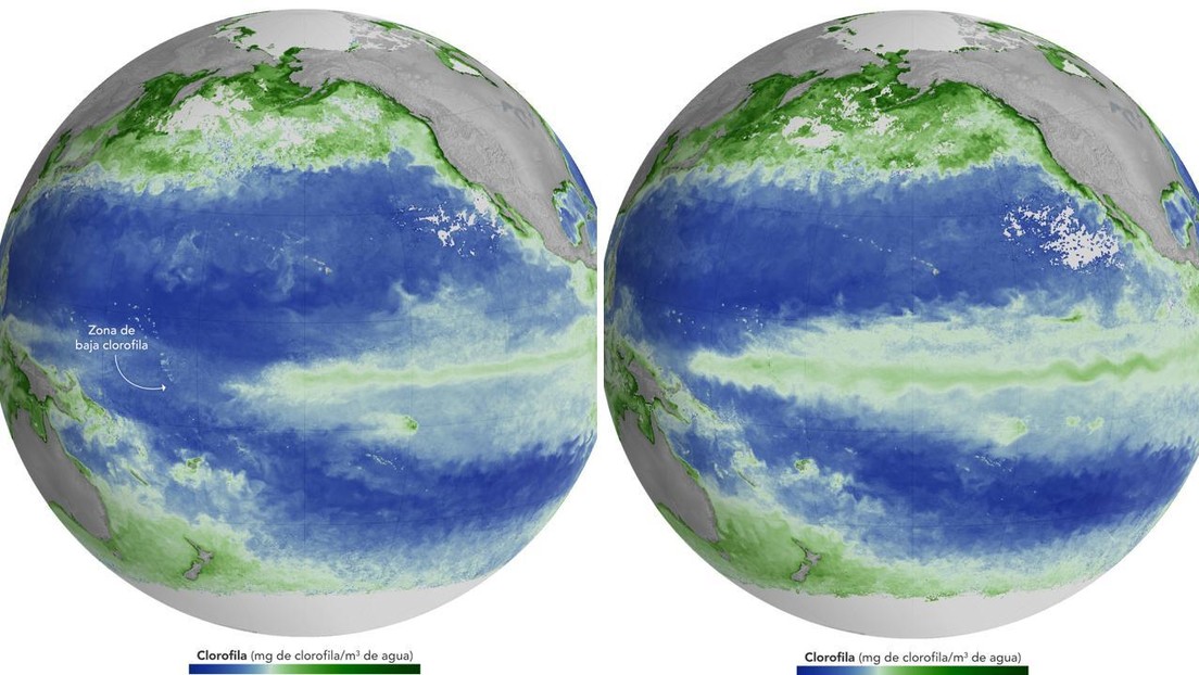 El Niño ya altera la vida marina del Pacífico, advierte la NASA