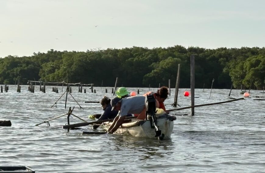 Pescando Vida fortalece producción de ostión y economía de comunidades de Paraíso