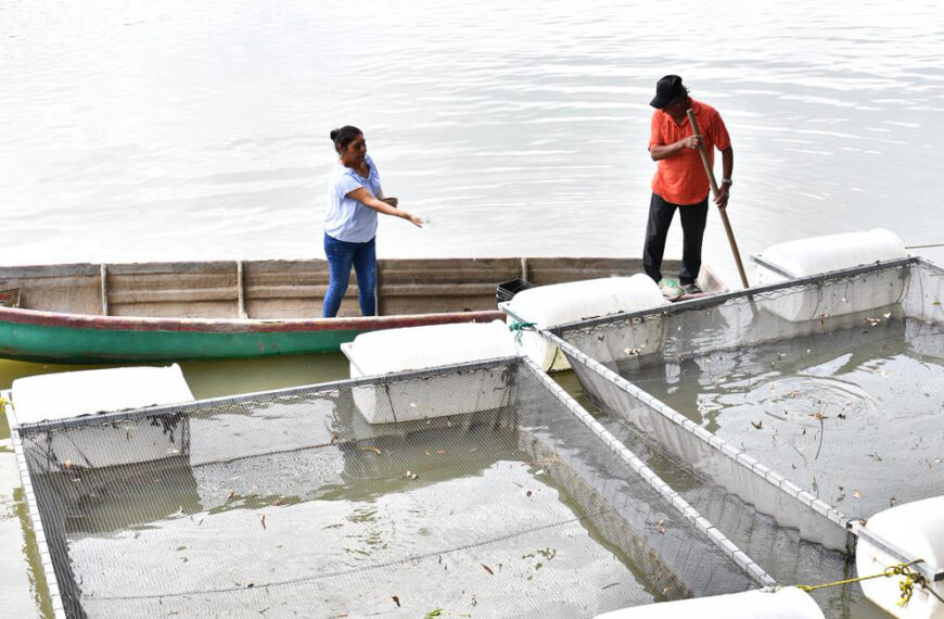 Pescando Vida impulsa a mujeres tabasqueñas y rompe barreras en la actividad pesquera