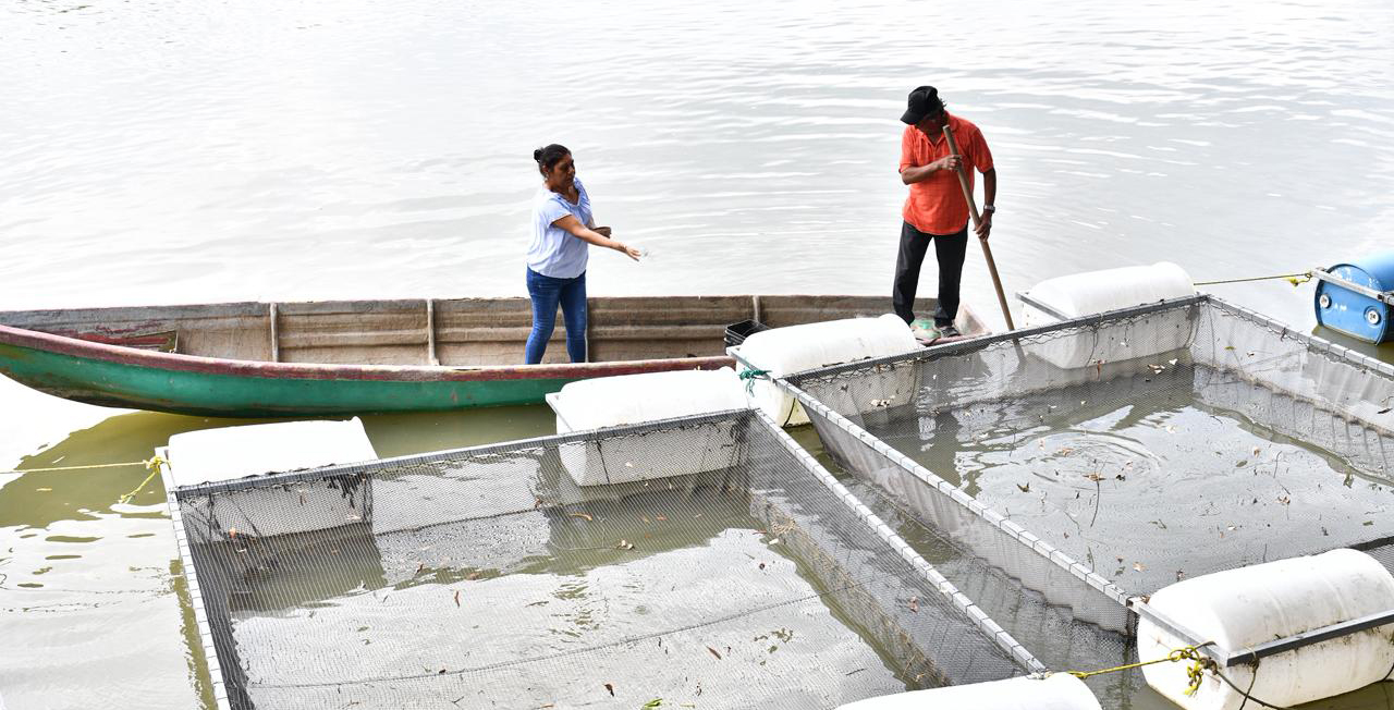 Pescando Vida impulsa a mujeres tabasqueñas y rompe barreras en la actividad pesquera