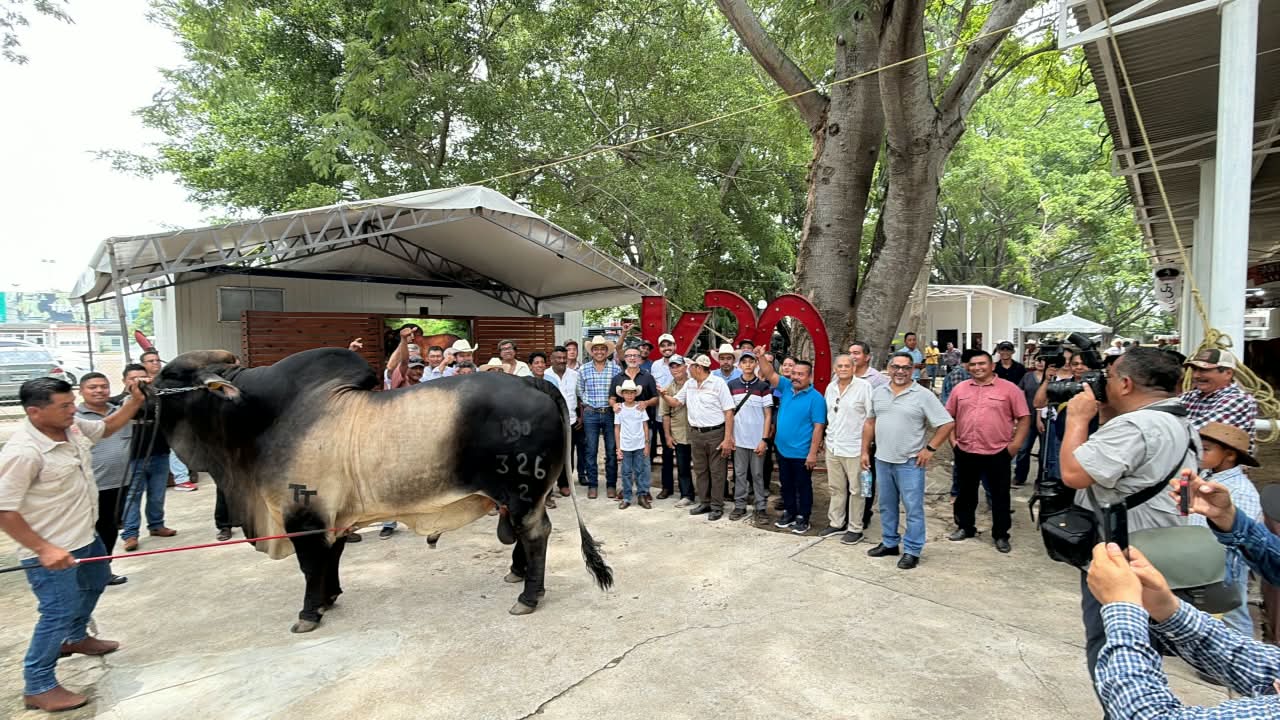 SEDAP acerca a pequeños ganaderos al conocimiento especializado durante Muestra Mexicana del Cebú