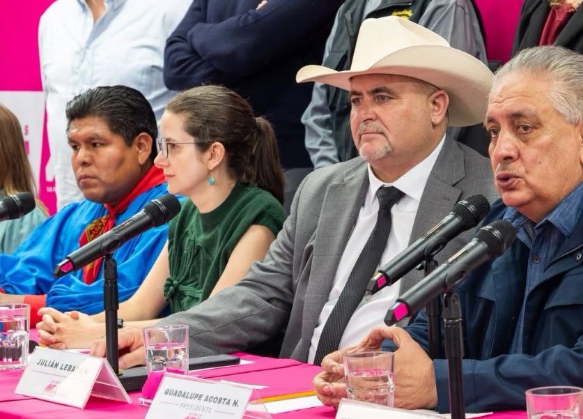 INE obliga a Somos México a cambiar nombre, logotipo y color antes del 30 de agosto