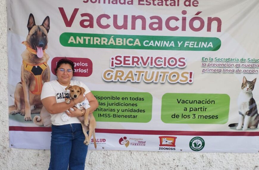 Esterilización gratuita en Tabasco evita el nacimiento de más de 27 mil perros y gatos