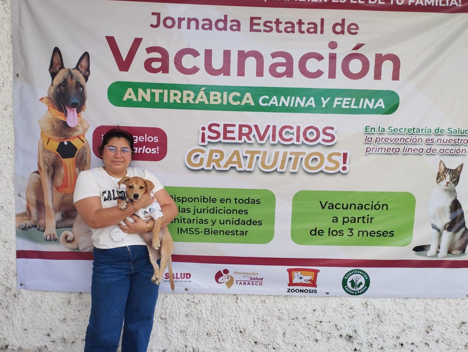 Esterilización gratuita en Tabasco evita el nacimiento de más de 27 mil perros y gatos