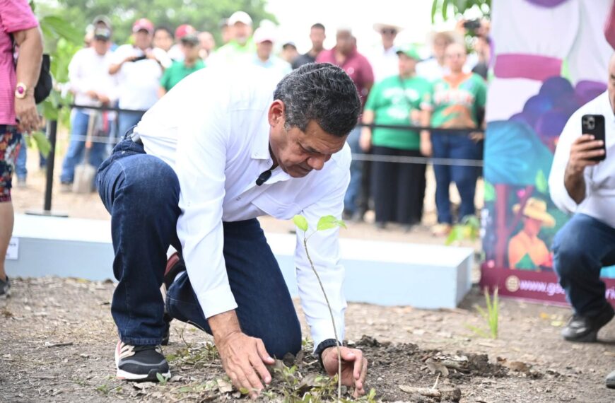 Tabasco se suma a Jornada Nacional de Reforestación en 843 puntos y casi 2 mil participantes…