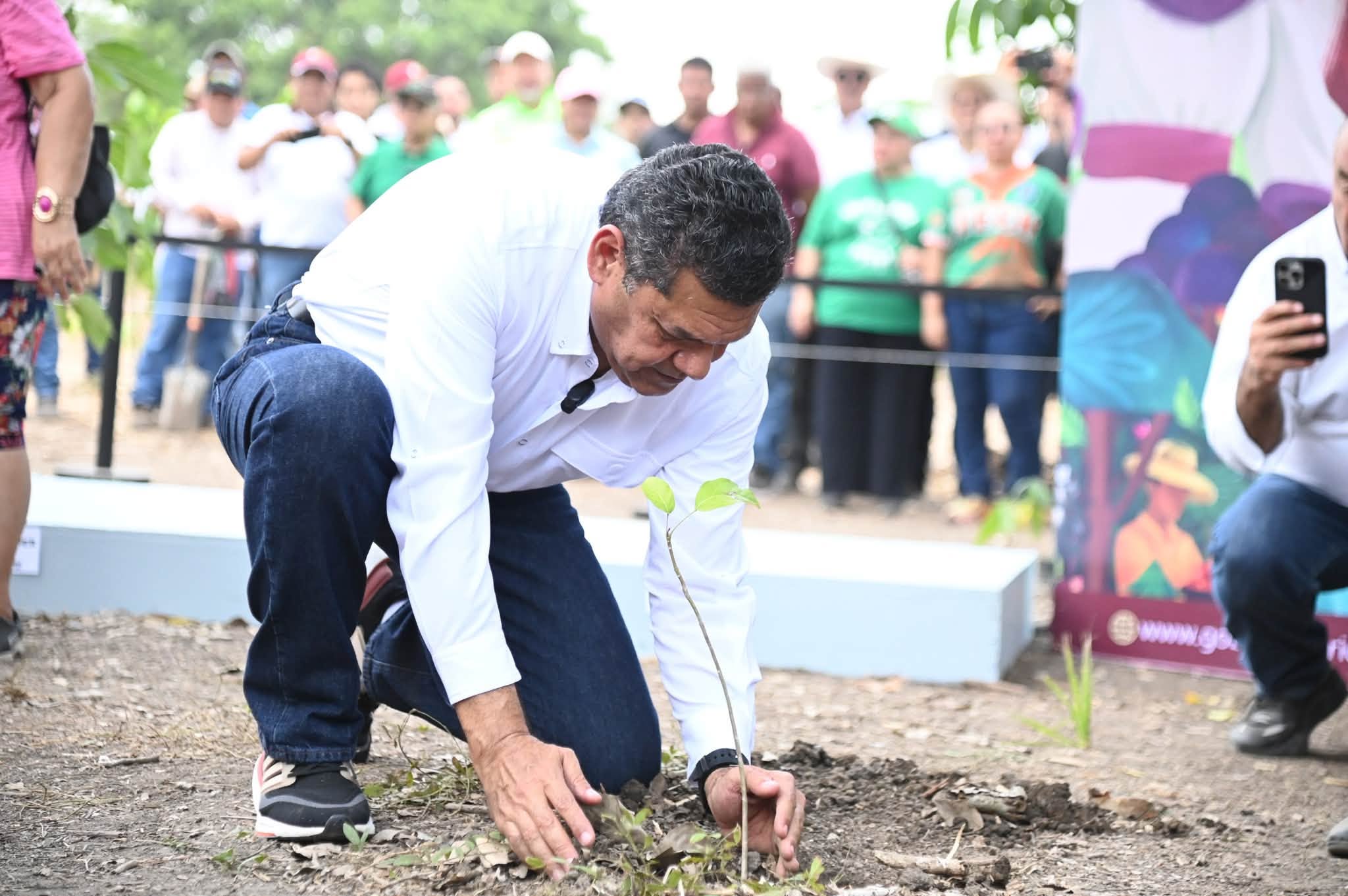 Tabasco se suma a Jornada Nacional de Reforestación en 843 puntos y casi 2 mil participantes…