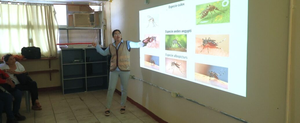 Llaman a reforzar acciones contra el dengue desde los hogares