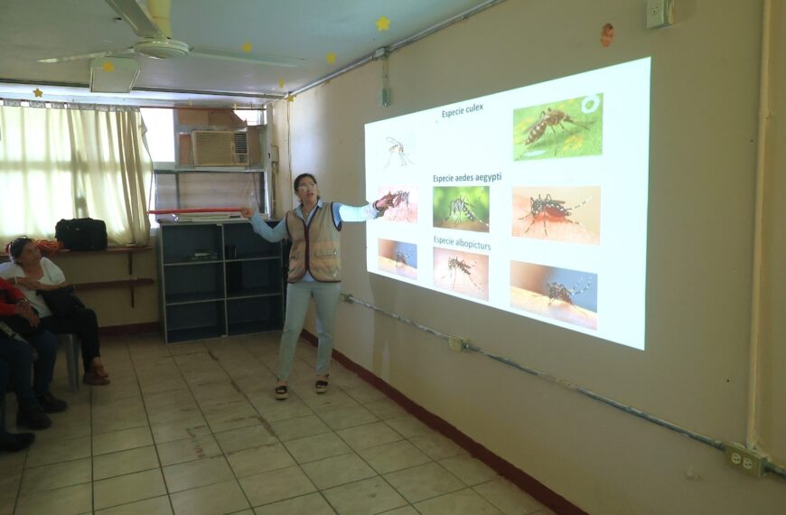 Llaman a reforzar acciones contra el dengue desde los hogares