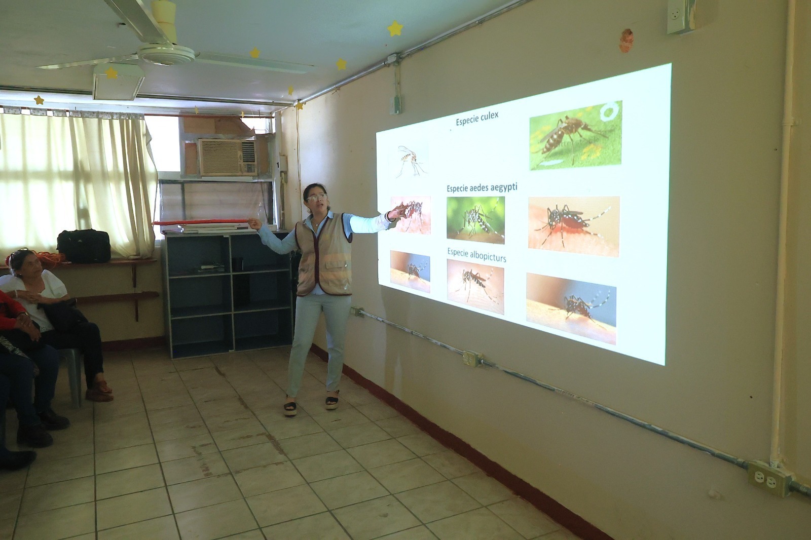 Llaman a reforzar acciones contra el dengue desde los hogares